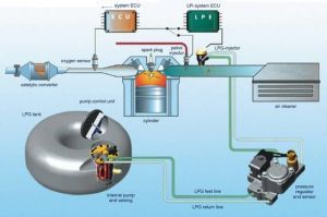 LPG Proje Hizmetleri